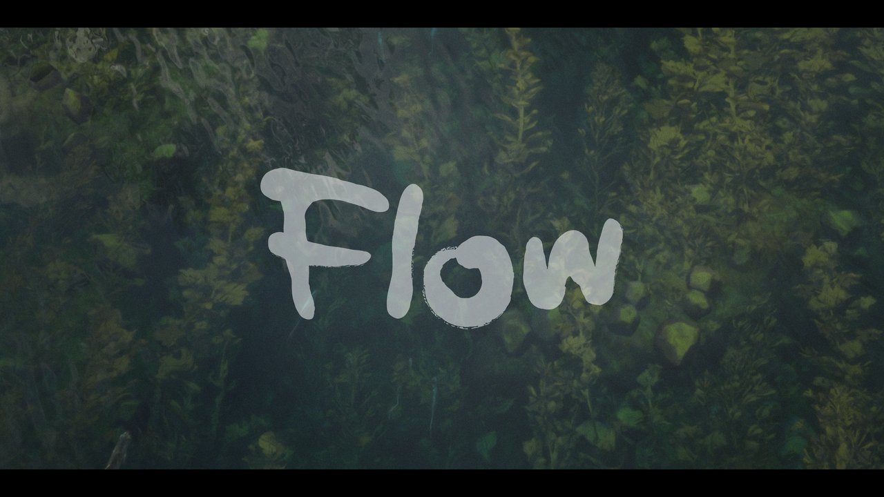 mpv-shot_Flow.2024.2160p.UHD.USA.BDRemux.SDR.HEVC-Нечипорук_00_04_22_0001