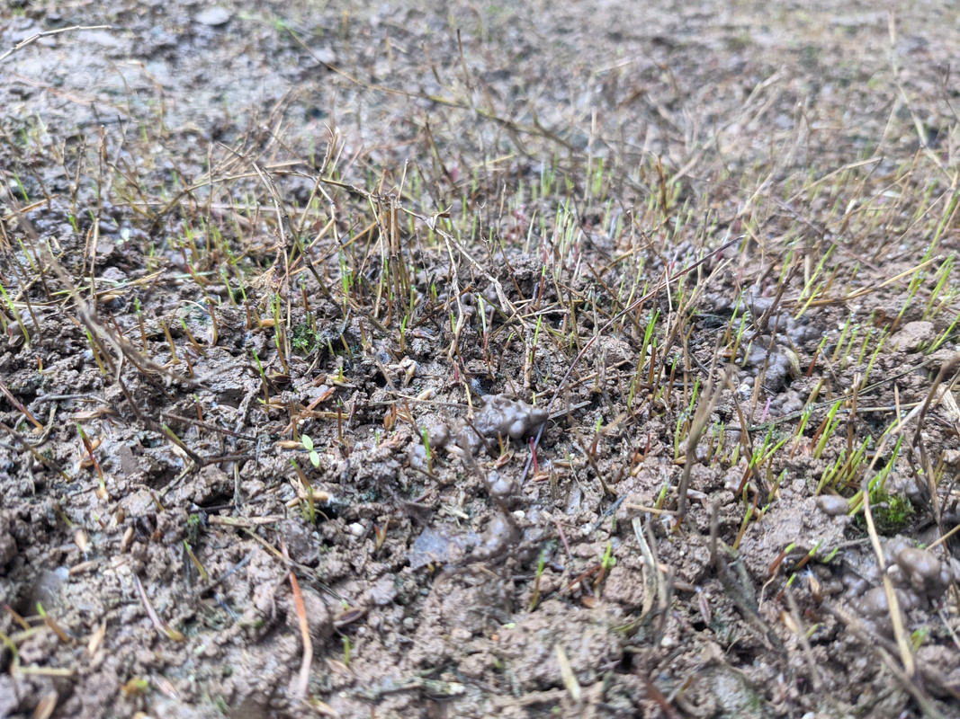 PXL_20210912_130212237