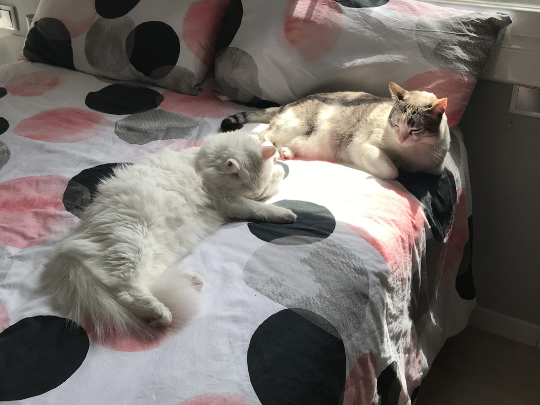 6C15456A-5917-406D-BE25-967D7A1C0D04