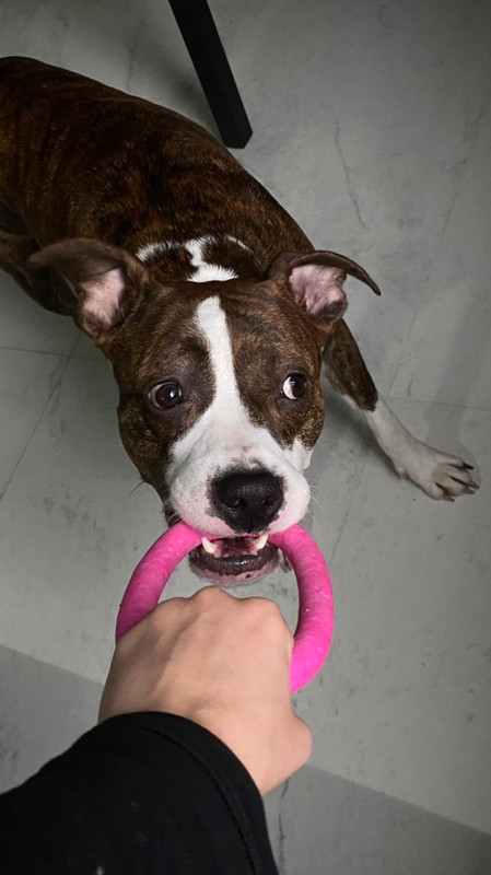 FDB13026-3B47-49BC-A070-190860072846