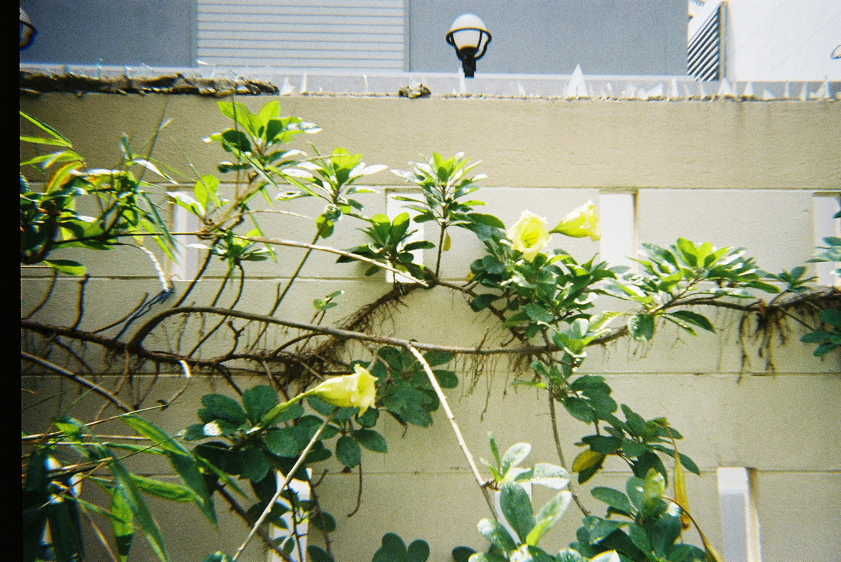 Colorplus-54-resize