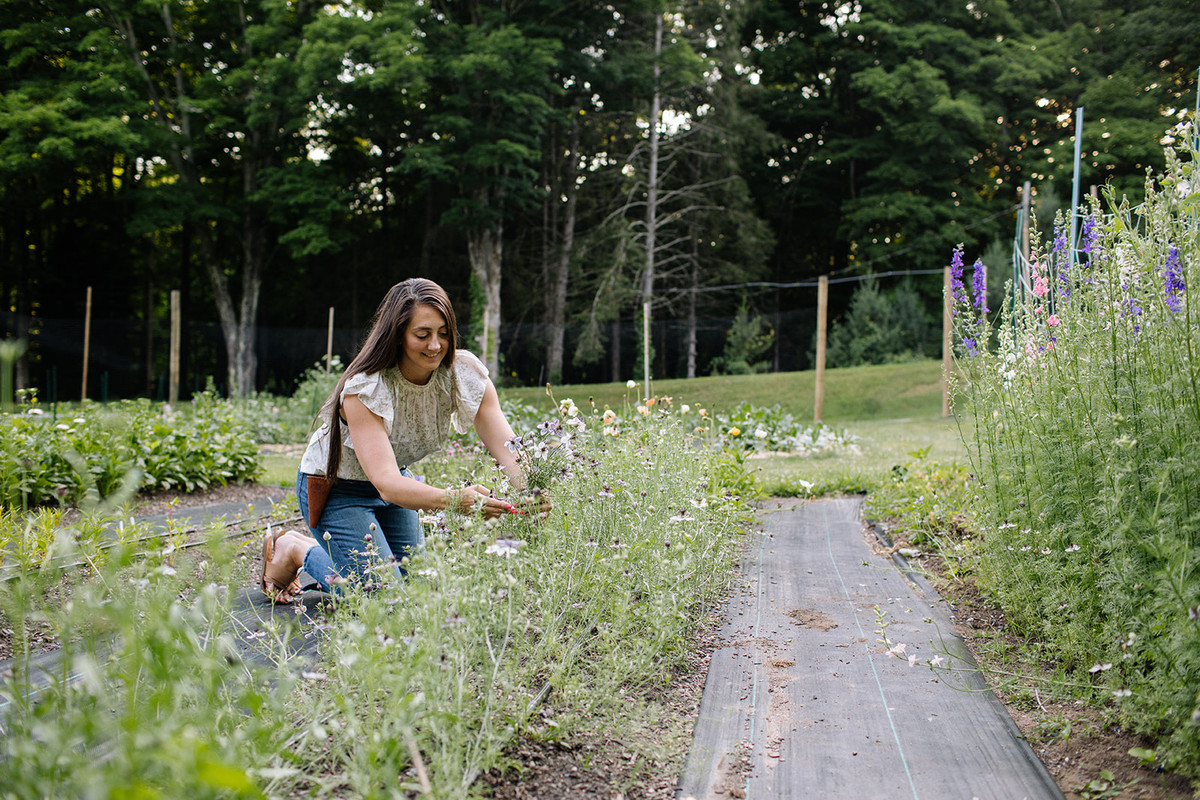 Gardening Challenges and Solutions