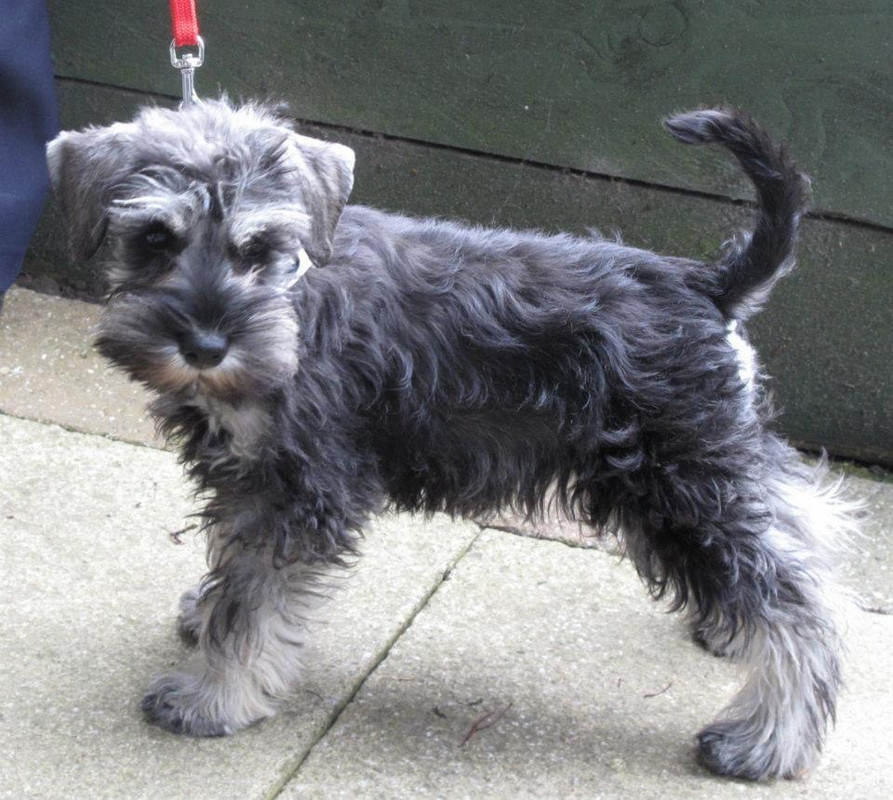 D9D15835-087C-4F0D-A463-638DC9184A33