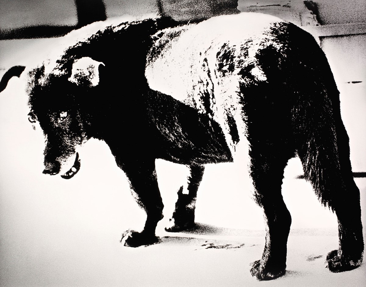 R0021HK0497 797FV V2 Custom