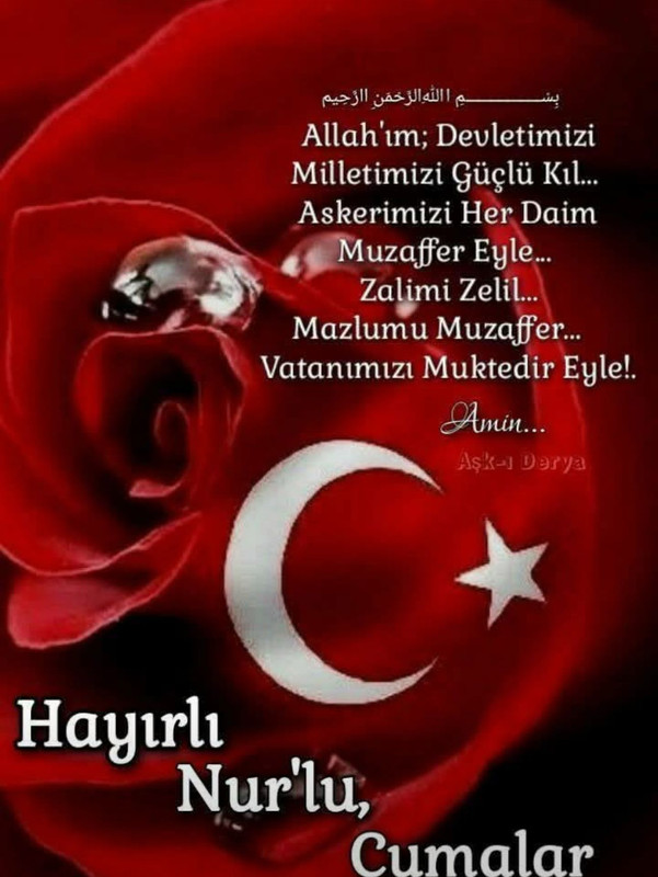 WhatsApp Bild 2025-08-01 um 08.17.43_328a6066