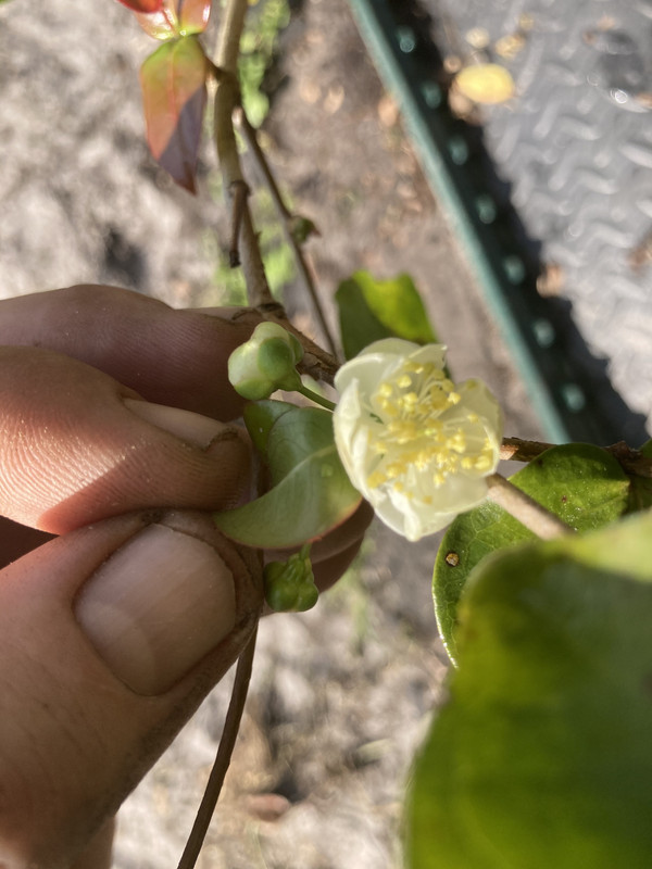 835312E2-2E6B-46C5-BAE3-9D9F1DCC5CE4