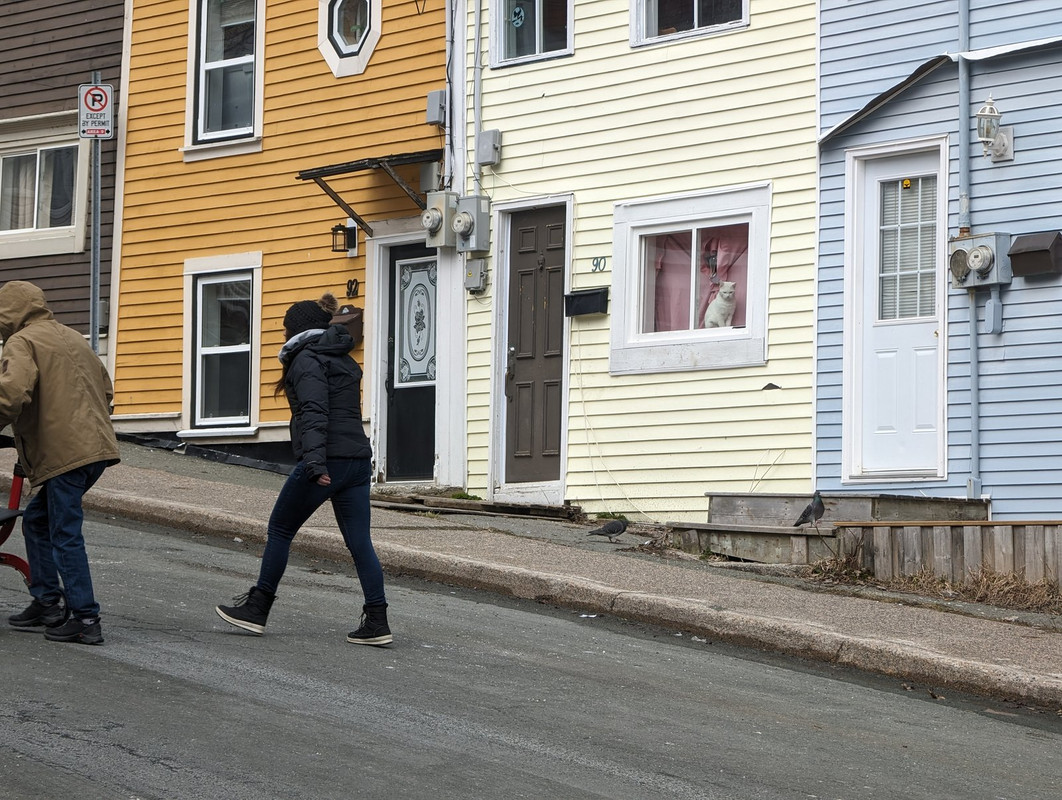 PXL_20240406_155147816.MP