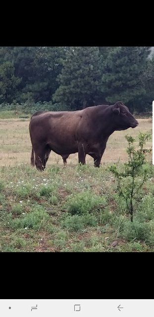 Screenshot_20200128-183118_Messages