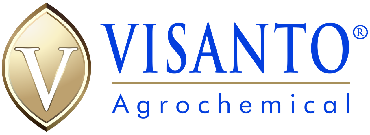 VISANTO® Logo