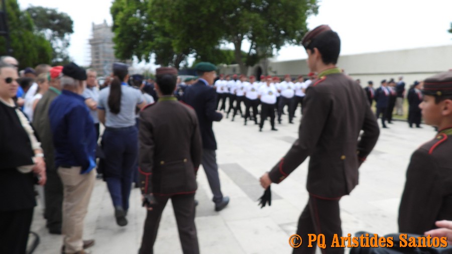 505439902-2426587824390061-1278615961843256362-n