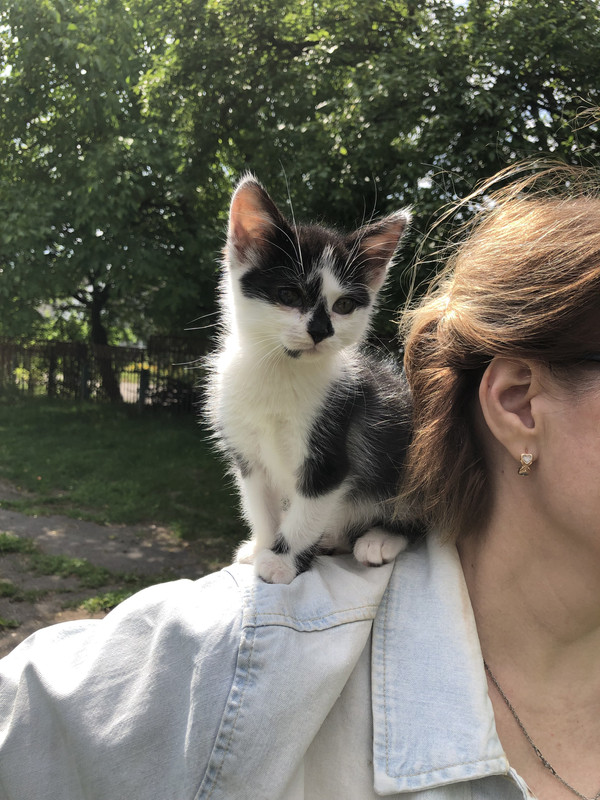 B6137057-7A71-4ABC-88D4-72E7D8B06BF7