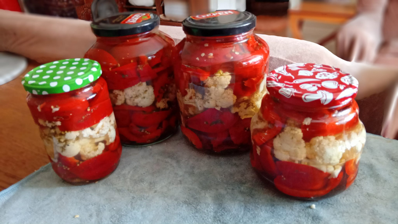 455809520_10229267776176341_1670320997756176062_n