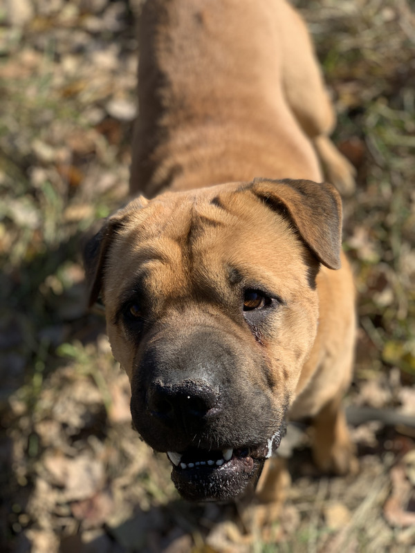 1A10CB74-3817-4A9F-B946-135027905657