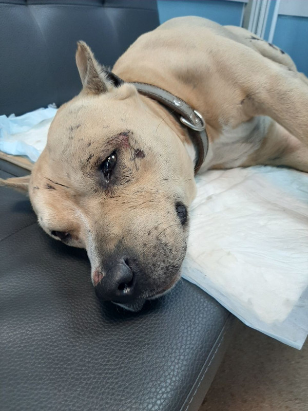 9B3936A1-E4AA-4512-85A3-8334389FF6E6