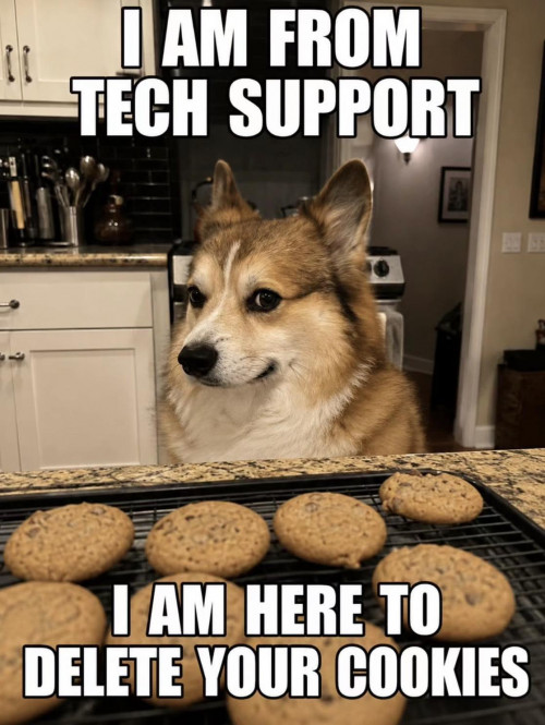 thumbs-picdump980-39.jpg