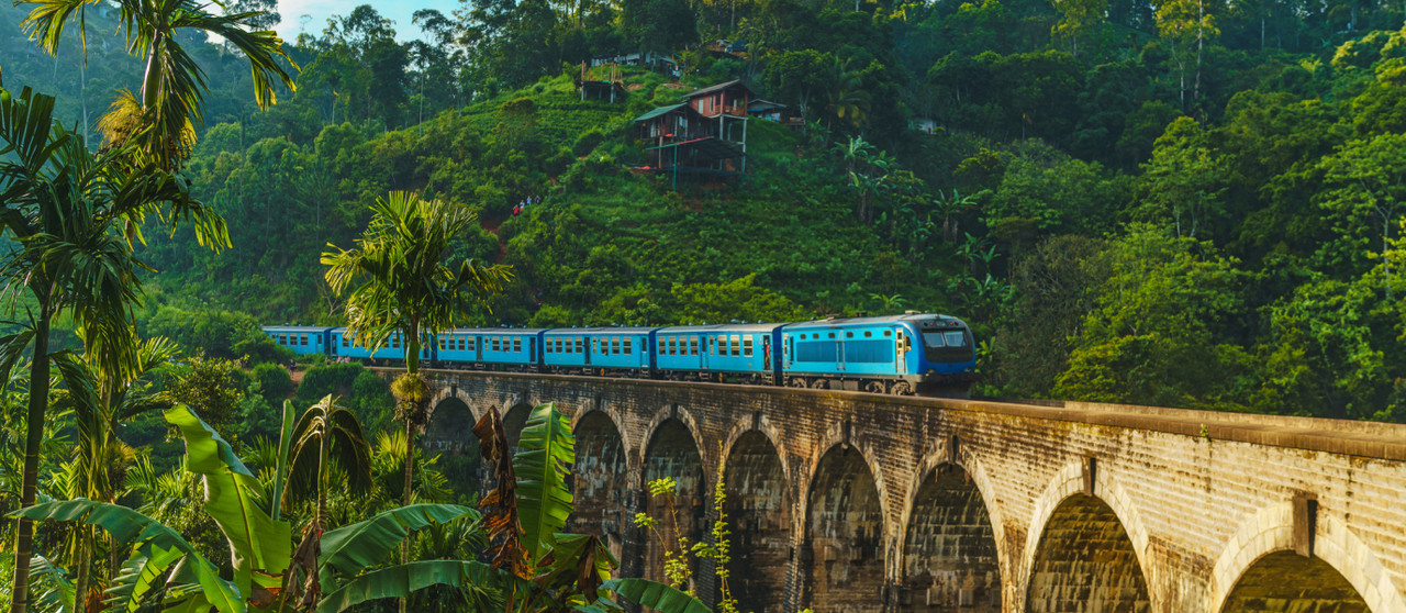 خرید سوغات و چای سیلان در سریلانکا