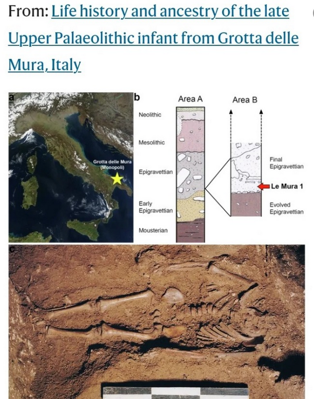 Skelett des Eiszeit-Kindes