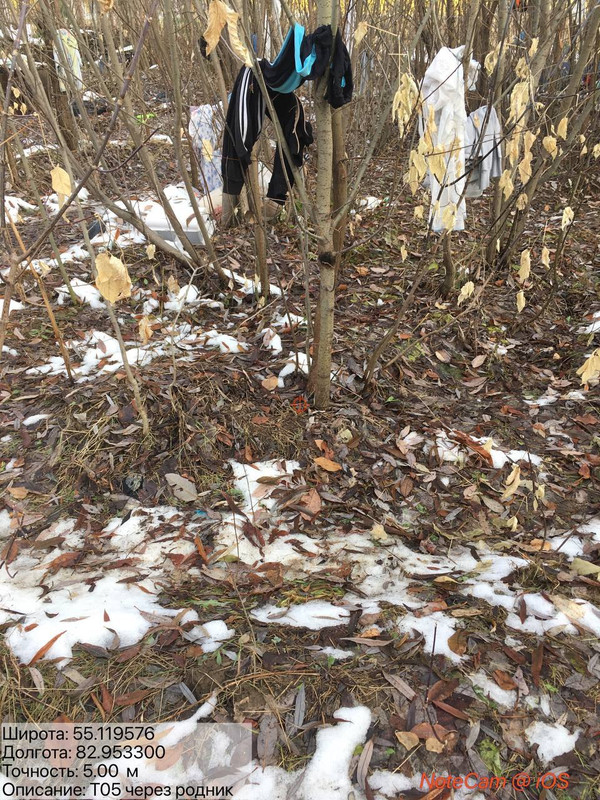 photo 5 2025 10 29 15 23 02