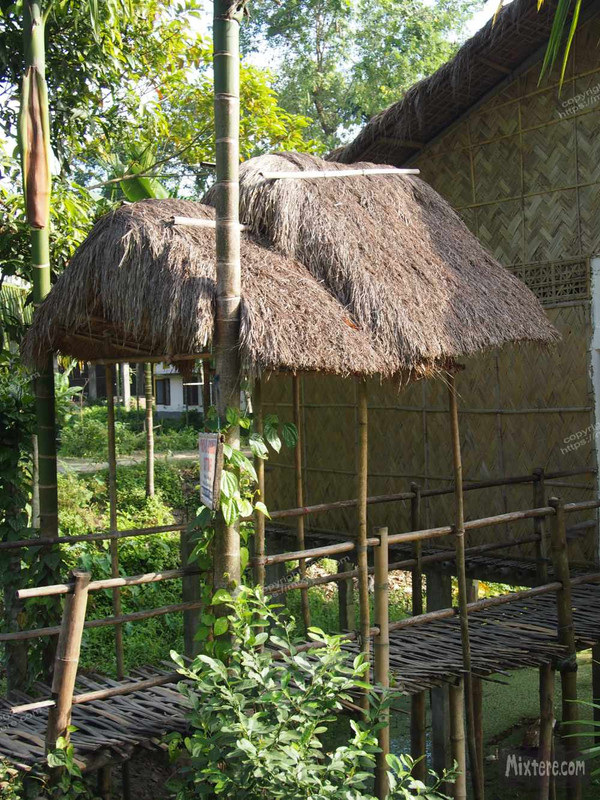 BBG&B20KazirangaAndMajuli - 11