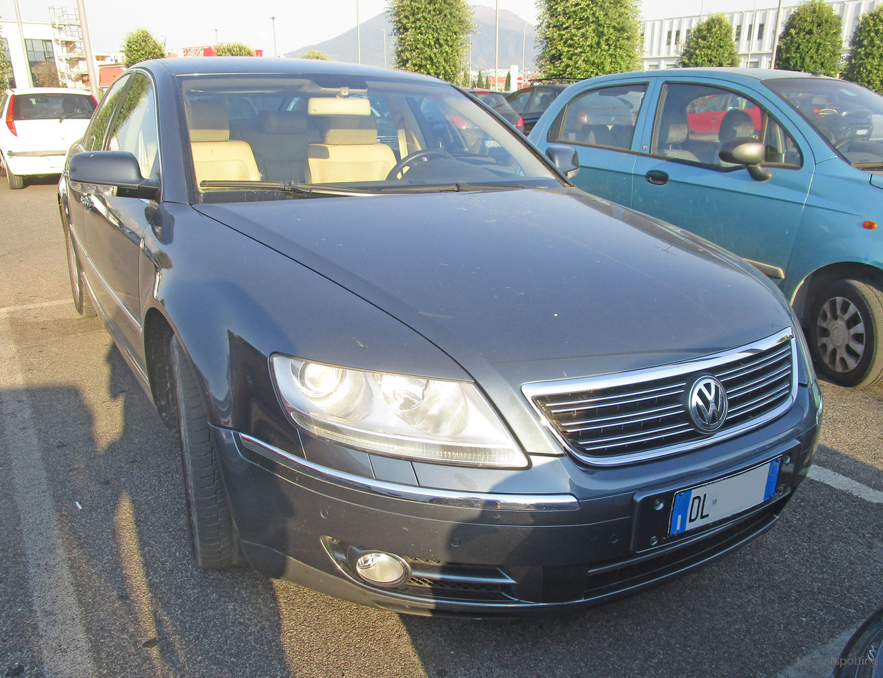 IMG-8575.jpg