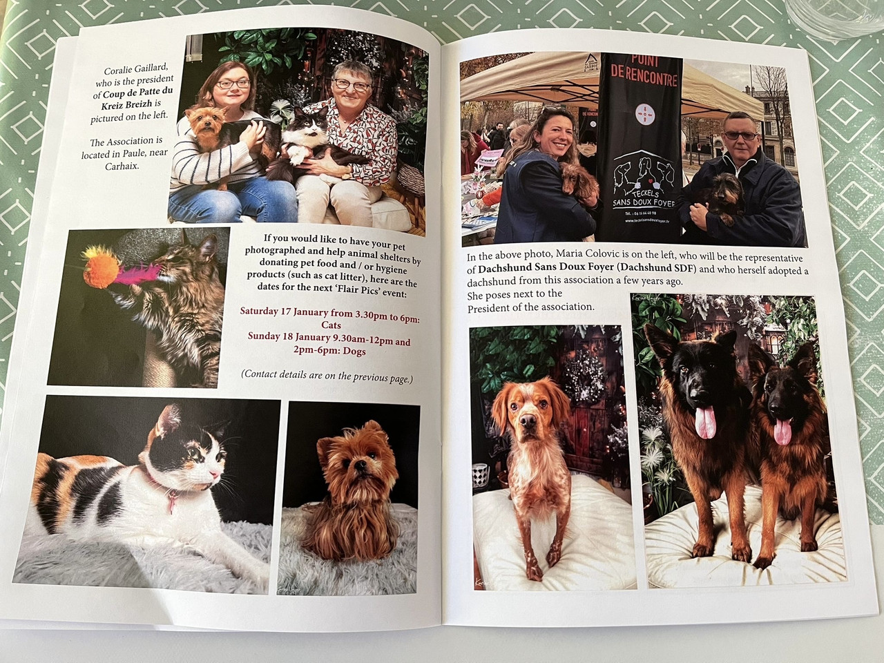 [Image: 1flairpics.jpg]