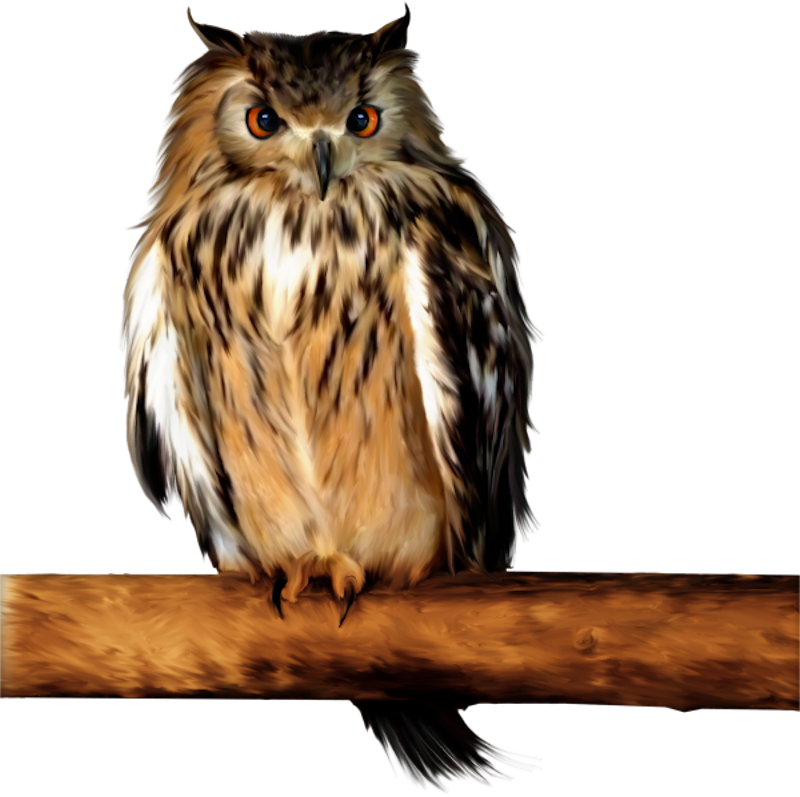 IPD_AH_Element (138)