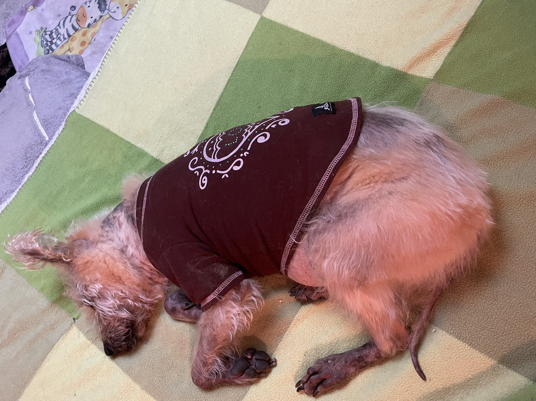 9D87D2B2-2CB0-4357-82D4-279F934713E0