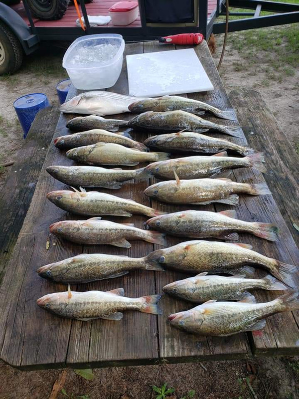 FB_IMG_1601478219348