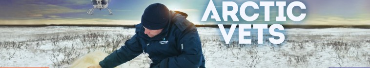 Arctic Vets S02E02 XviD-AFG Arctic Vets S02E02 XviD-AFG
