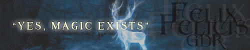 Banner500-6