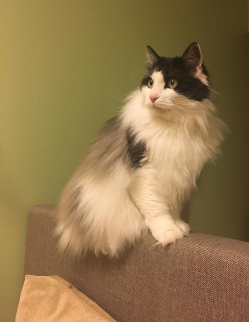 8286-C92-B-DEF2-4965-881-E-BB54-E0-D5-F8