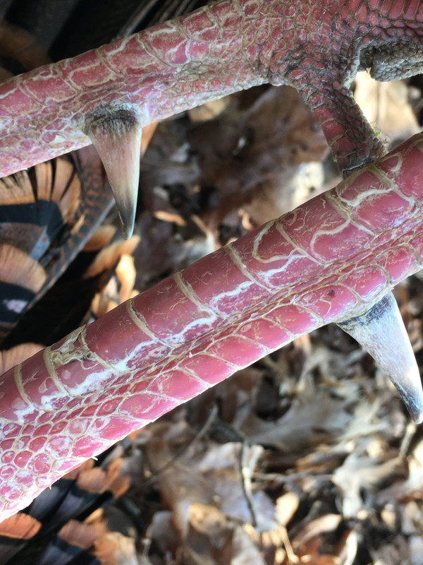 15D000A7-210B-45E7-8D59-AA8BC0E8E9A5