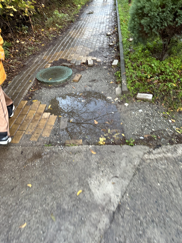 208B8BDE-E254-4F41-AE96-3BF5CC42EFA1