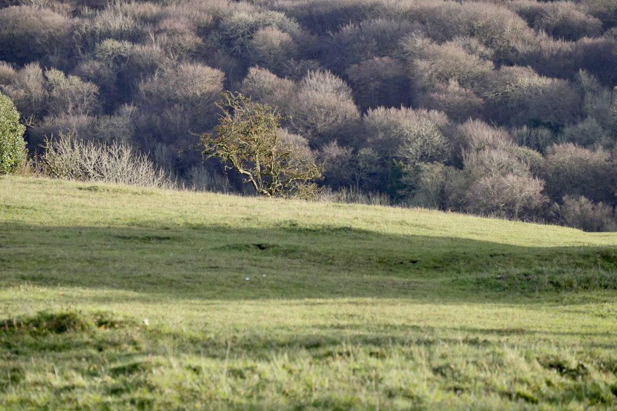 FDE6D60B-23D2-46FD-8AAC-2A537466C4A0