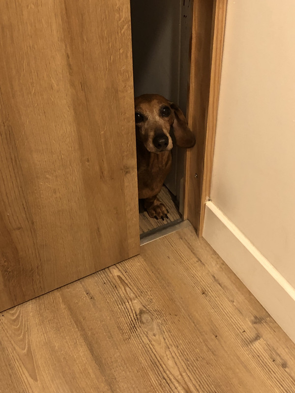 [Image: IMG-3087.jpg]