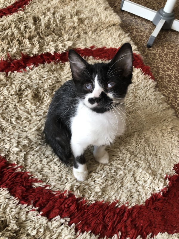 8F7CD43B-5679-4620-AC42-61D781D4BCC6