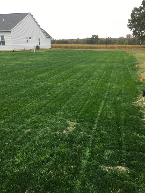 B90F5449-014B-4741-9BBE-92A303C1A5AE