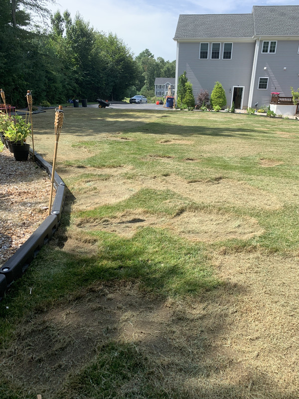 5AC5FB14-A958-4DCF-96AE-634466B113C5