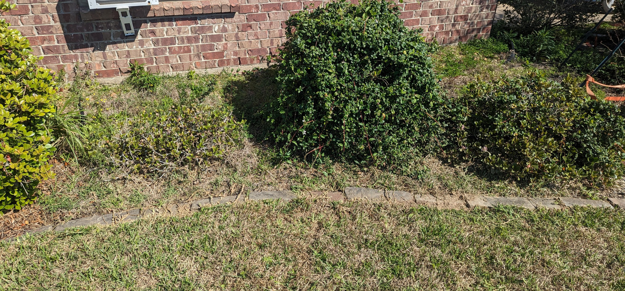 PXL_20230305_163617622