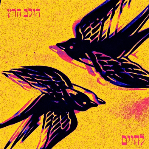 תמונה