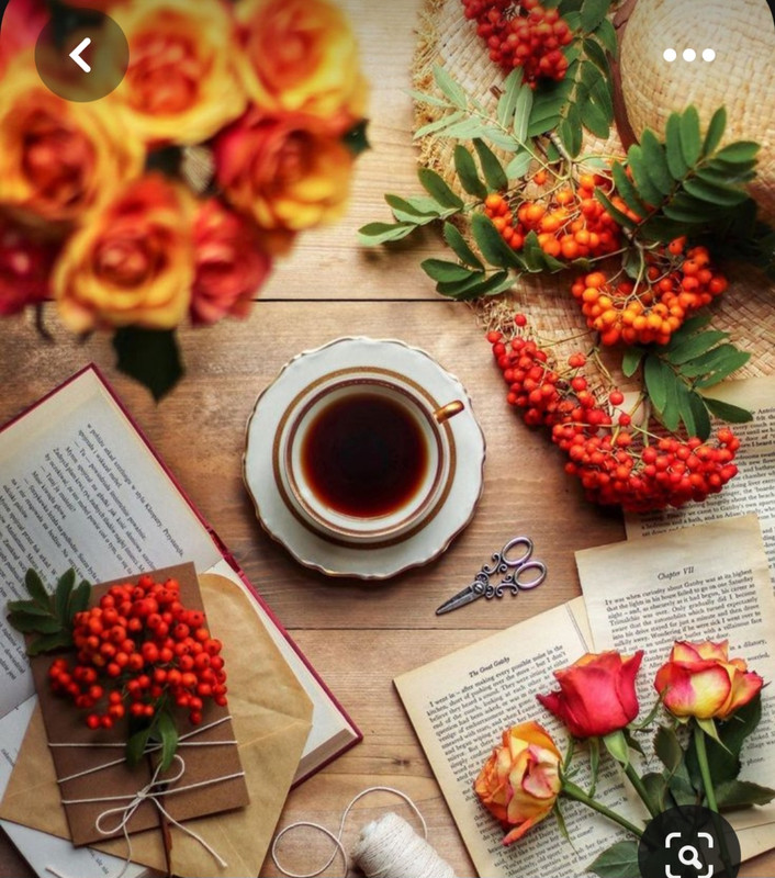 Screenshot_20230616_140257_Pinterest