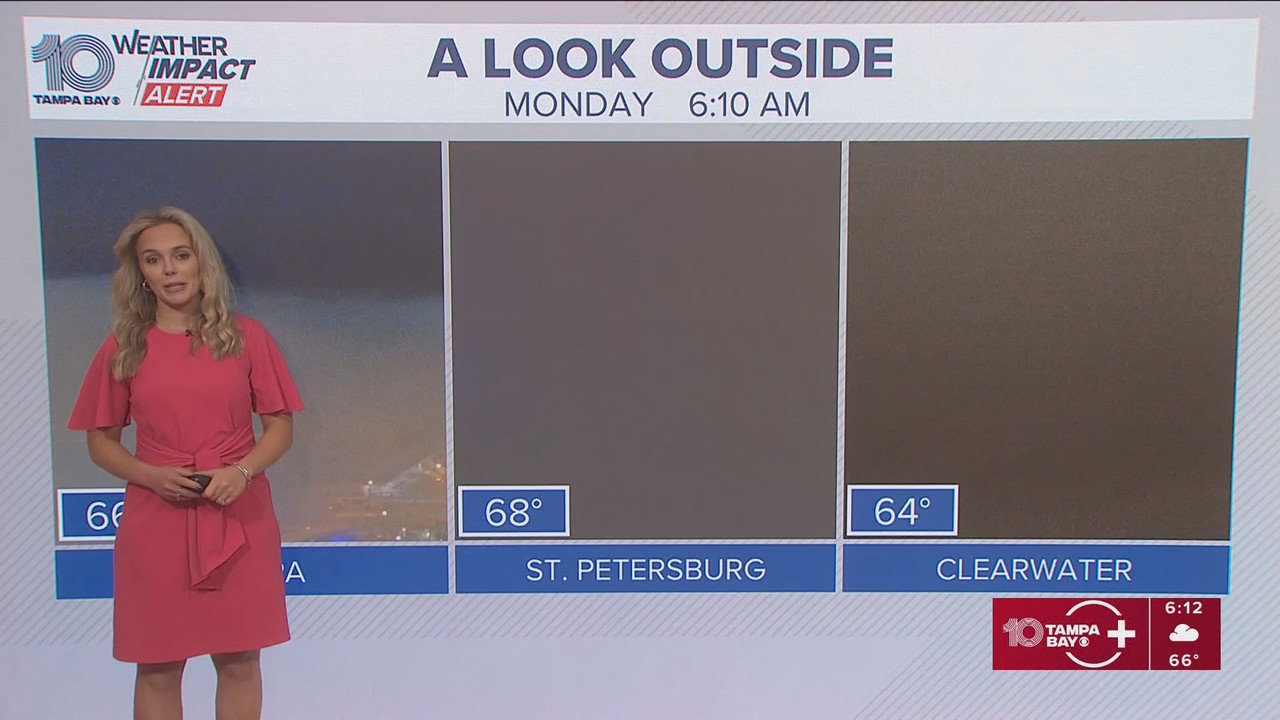 10 Tampa Bay News This Morning at 600 a m 20251124 11001200 ts snapshot 14 07 484