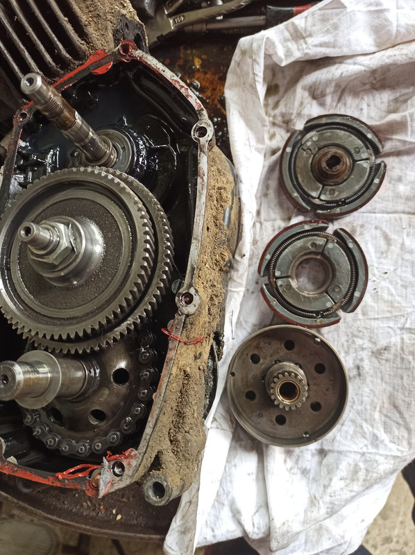 100892296_1777711075703049_2478278966826237952_n