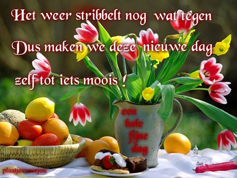 0-Martje-tulpen