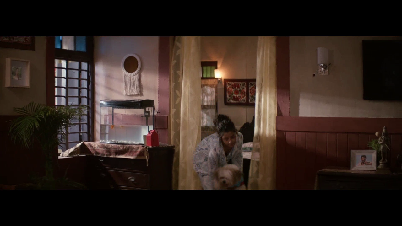 vlcsnap 2025 11 09 16h39m35s271