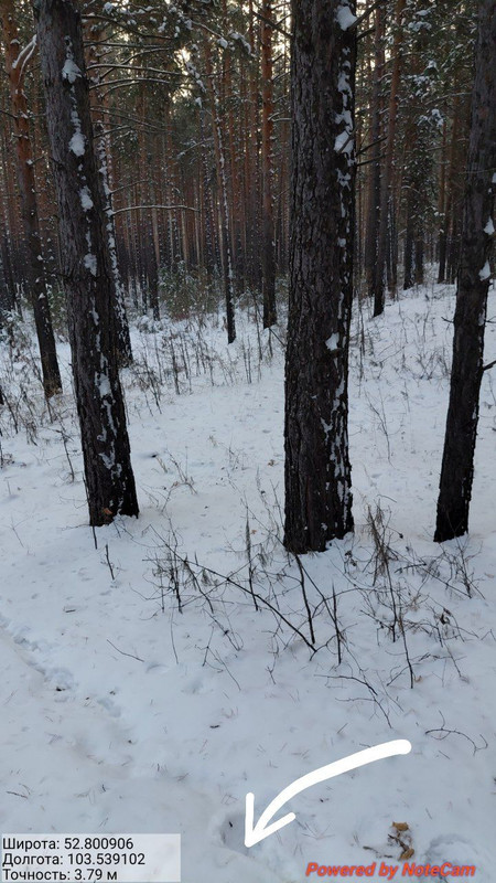 IMG 20251225 195147 081