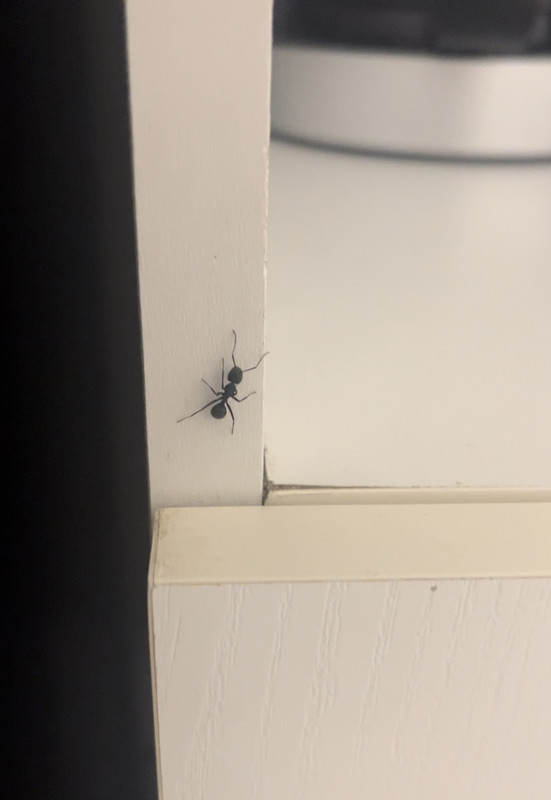 B6CADF1D-F61D-4BAB-A1CC-0516FD3A6F5B