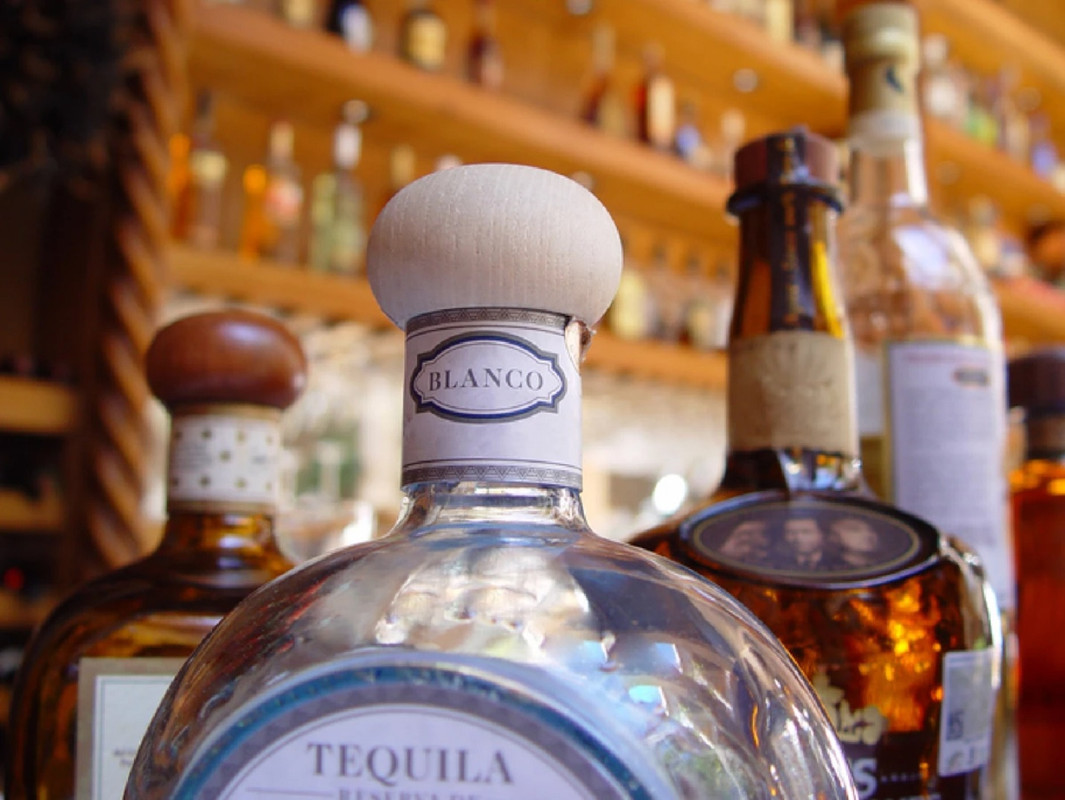 Tequila ¿Sabes cómo identificar una botella auténtica? Aquí te lo decimos