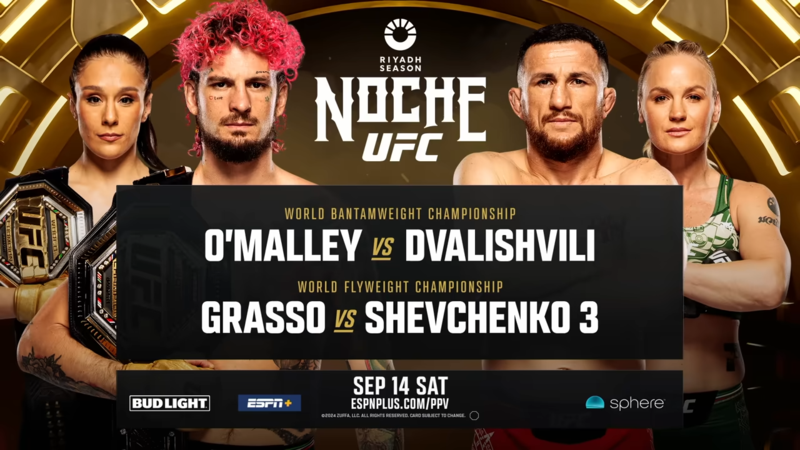 Промо преди UFC 306