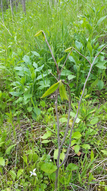 20170514_135506